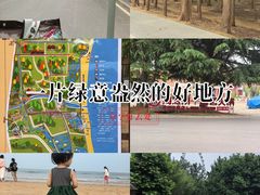 -日照海滨国家森林公园
