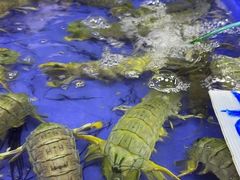 -芭提雅海鲜市场