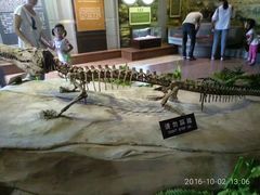 -自贡恐龙博物馆