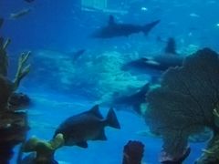 -海洋公园海洋列车－海滨站