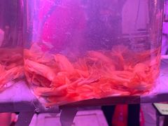 -华声天桥民俗文化园