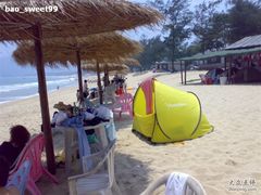 -西涌国际滨海旅游区