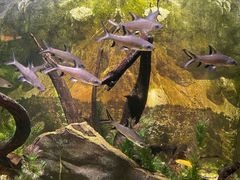 -常州海昌海洋探索馆