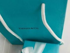 -Tiffany & Co.蒂芙尼
(天津万象城店)