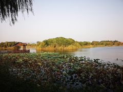 -上海市保健医疗中心(华东疗养院)