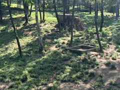 -哈尔滨北方森林动物园