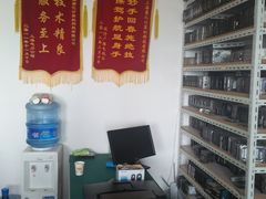-电脑移动硬盘维修数据恢复西数wd希捷