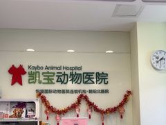 -悦宠凯宝动物医院·牙科·皮肤科(朝阳北路店)