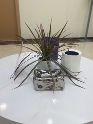 -上海伊莱美医疗美容医院