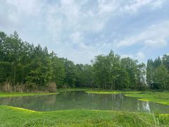 -桤木河湿地公园