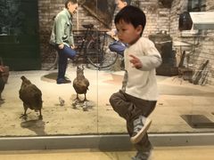 -嘉峪关城市博物馆