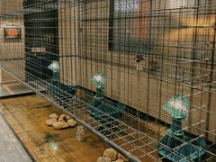 -映像威海·威海宴(威高广场店)