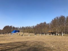 -长白岛森林公园