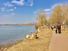 -丁香湖公园