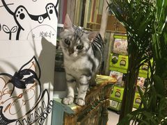 -小时光咖啡馆(开森度假森林店)