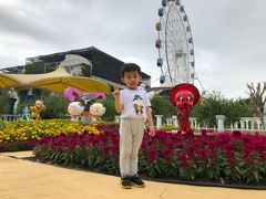 -百万葵园
