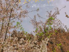 -西安青龙寺遗址景区