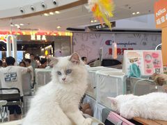 -万达广场(巴南店)