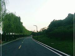 -洨河生态公园