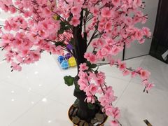 -开元盛世广场(新华北路店)