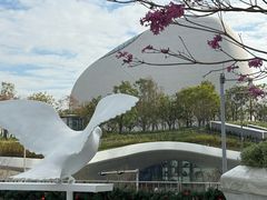 -深圳湾万象城(南山店)