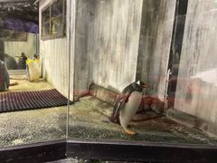 -悉尼海洋生物水族馆
