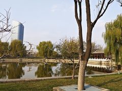 -西海子公园