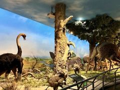 -国家自然博物馆