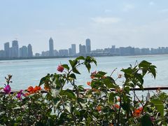 -彩丰楼中餐厅·早茶·点心·粤菜(海口华彩洲际酒店)