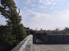 -观潮胜地公园
