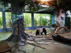 -海南热带野生动植物园