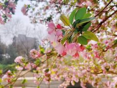 -海棠花溪(元大都城垣遗址公园)
