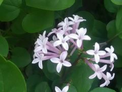 -长春公园(普阳街道)