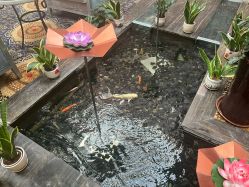 -成都世外桃源酒店-宴会厅·草坪婚礼·会议活动