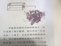 -剧狐剧本杀·月球探案馆(人民广场1号店)