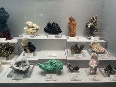 -湖南省地质博物馆