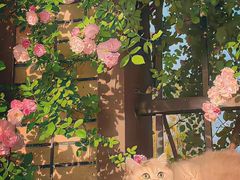 -丽华快餐(红庄国际店)