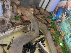 -春盛渔府(牛首山店)