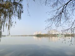 -金银湖国家城市湿地公园