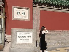 -荷唐·殿 Home Town Palace