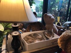 -咖法森林·咖啡  酒吧(天河店)