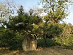 -上海市龙华烈士陵园