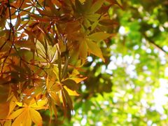 -杭州半山国家森林公园