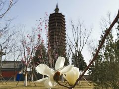 -西海子公园