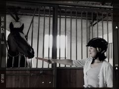 -松声马术俱乐部