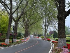 -棒棰岛宾馆景区