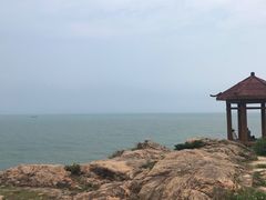-广东惠东海龟国家级自然保护区
