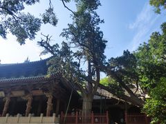-晋祠公园