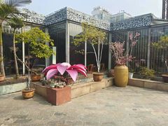 -阿细汉菜(本地盐帮菜名店)