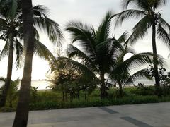 -三亚湾海居铂尔曼度假酒店